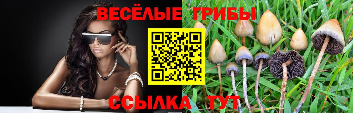 Псилоцибиновые грибы MAGIC MUSHROOMS  Псилоцибиновые грибы Cubensis  Кушва  как найти закладки  Вход с VPN 